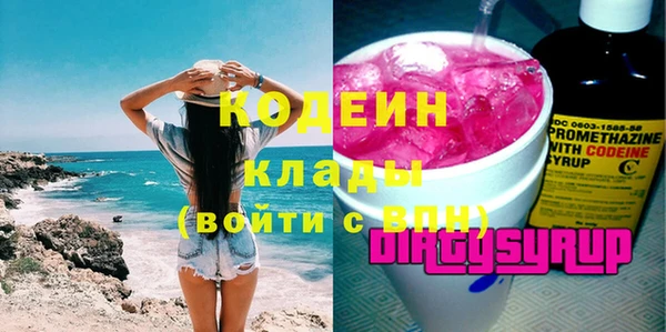 хмурый Арсеньев