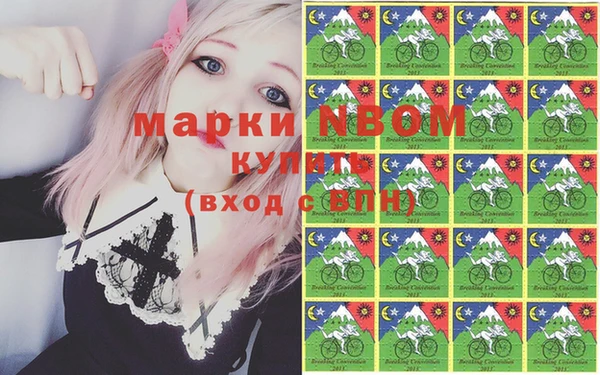 хмурый Арсеньев