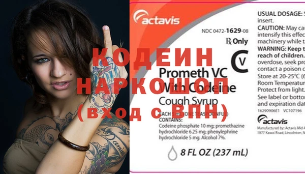 хмурый Арсеньев