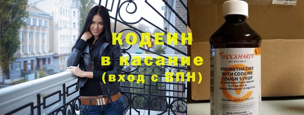 хмурый Арсеньев